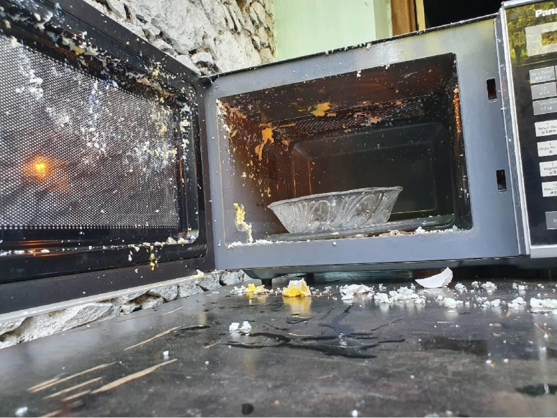 女星微波爐煮蛋險失明，廚房炸到天花板都是！不只是雞蛋，連「這種魚」也不行...微波爐8大NG用法一次看